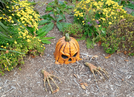 Jack O Lantern in the ground surrounded by flowers.